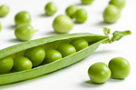 Gene Expression Solutions